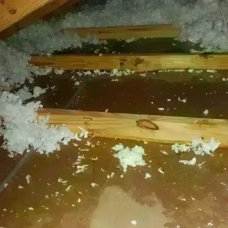 Attic Water Damage in Brunswick, ME